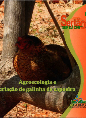 Agrocologia e criação de galinha de capoeira